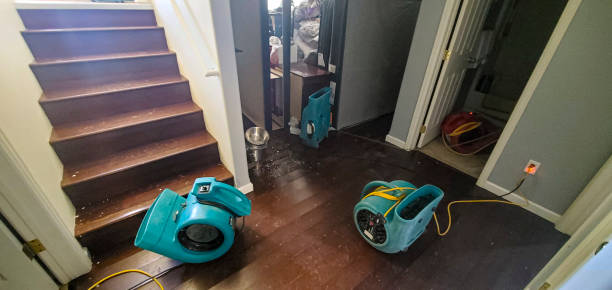 Best Flood restoration services  in San Marino, CA