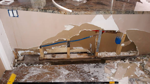 Best Flood damage cleanup  in San Marino, CA