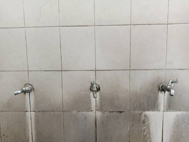 Best Water damage restoration near me  in San Marino, CA