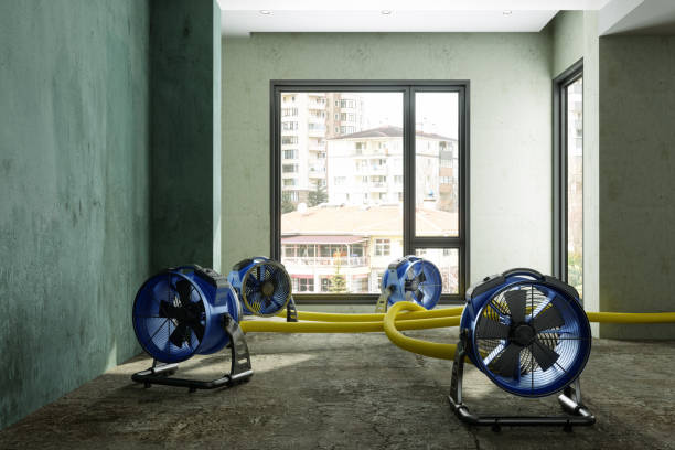 Best Ceiling water damage repair  in San Marino, CA